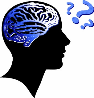Brain Question