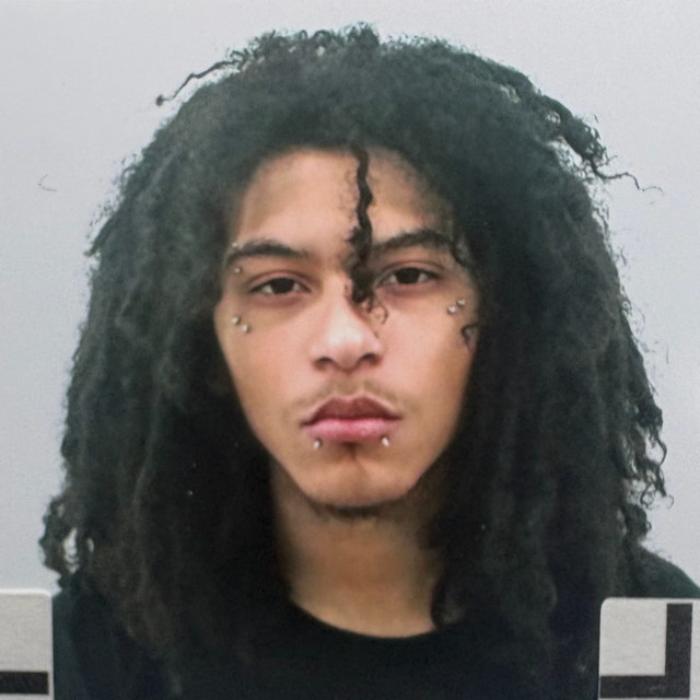 Jayden Yen Dumont's Police Report and Mugshot Surfaces After Arrest - GhanaCelebrities.Com