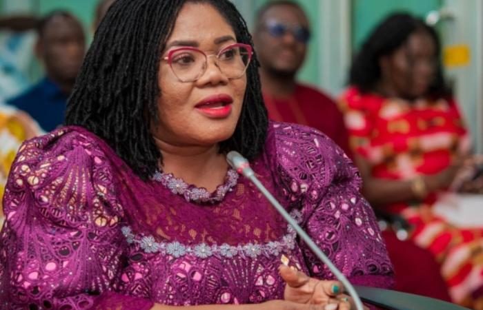 Captain Smart Commends Gender Minister Over Swift Action in Case of Ghanaian Woman Mutilated by Chinese Employer’s Dogs